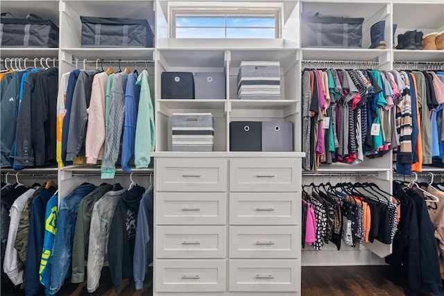 spacious closet with dark hardwood / wood-style floors