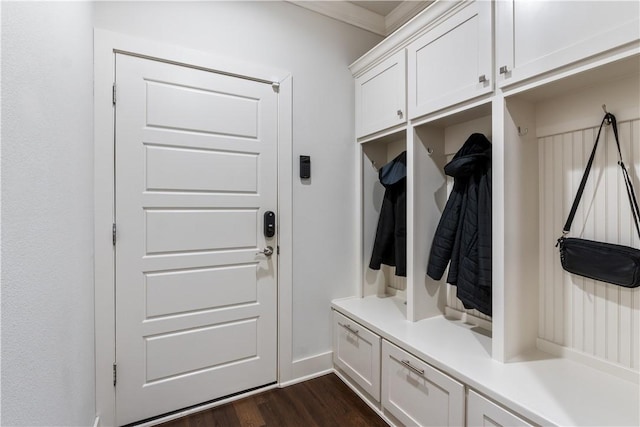 mudroom with dark hardwood / wood-style flooring