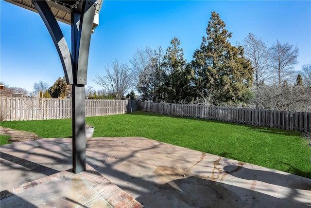 view of yard featuring a patio area