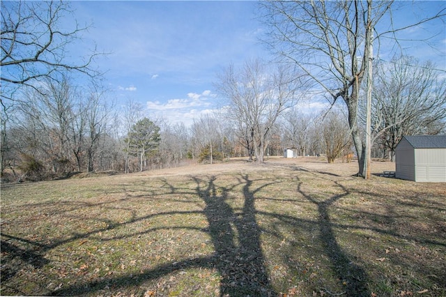 view of yard featuring a storage unit