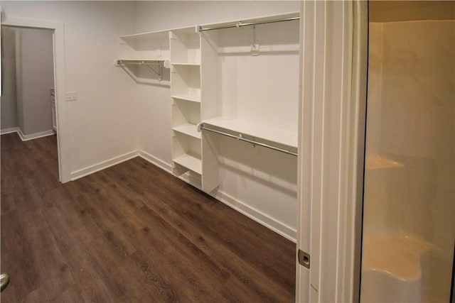 spacious closet featuring dark wood-type flooring