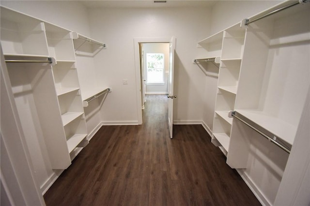 spacious closet featuring dark hardwood / wood-style flooring