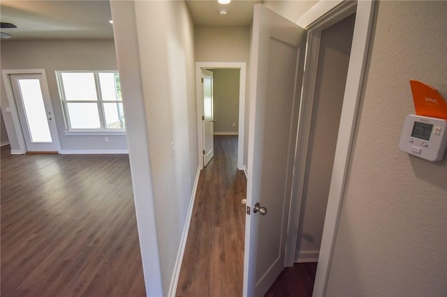 hallway featuring dark wood-type flooring