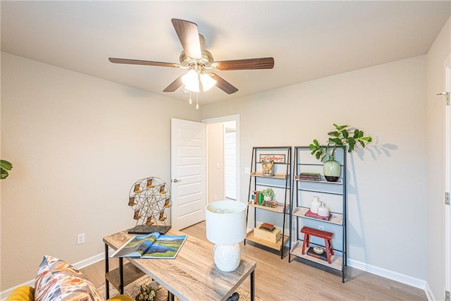 office featuring ceiling fan and light wood-type flooring