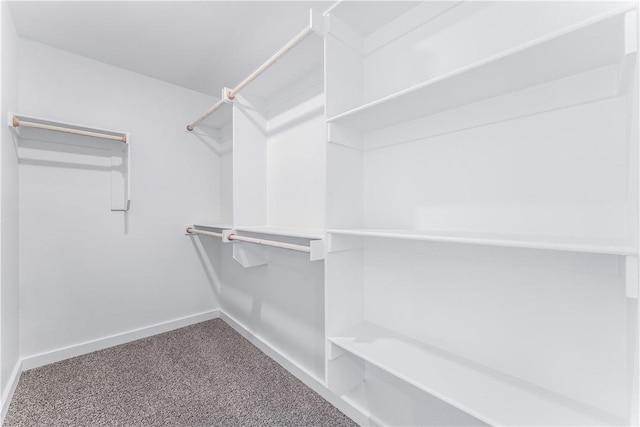 walk in closet with carpet floors