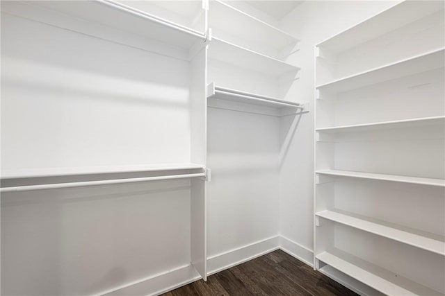 walk in closet featuring dark hardwood / wood-style floors