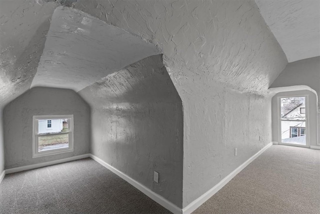 additional living space featuring vaulted ceiling, a textured ceiling, and carpet