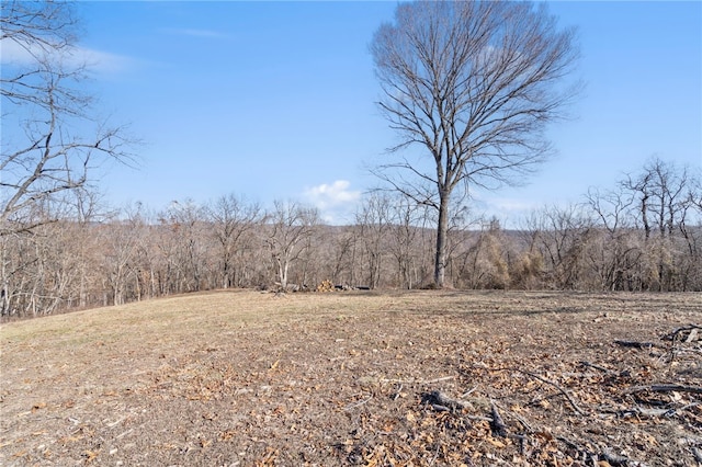 LOTS6, 7 8 Mystic Warrior Rd, Garfield, AR 72732