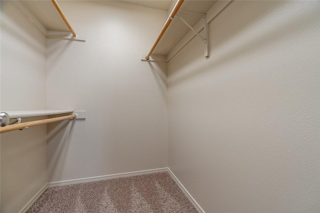 spacious closet with carpet flooring