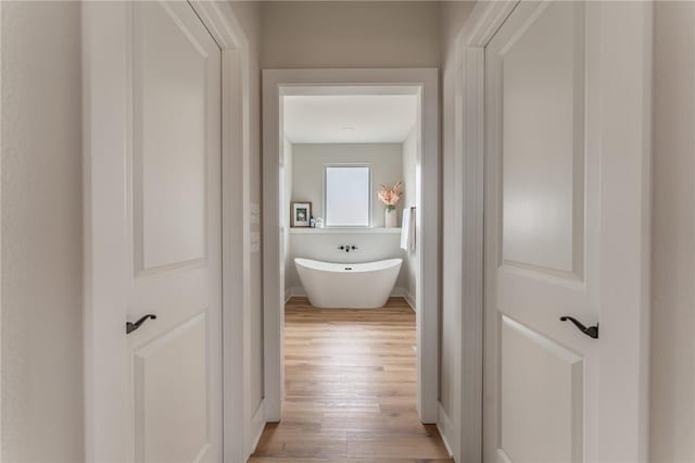 hallway featuring light wood-type flooring