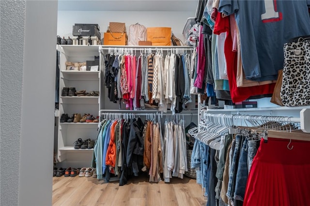 walk in closet featuring hardwood / wood-style flooring