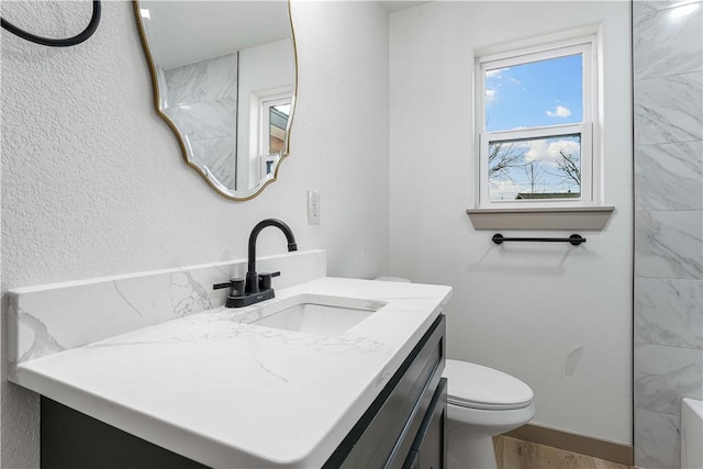 bathroom featuring vanity, toilet, and hardwood / wood-style floors