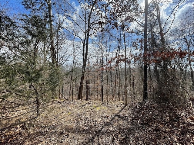 LOT62 Regis Ln, Bella Vista AR, 72714 land for sale