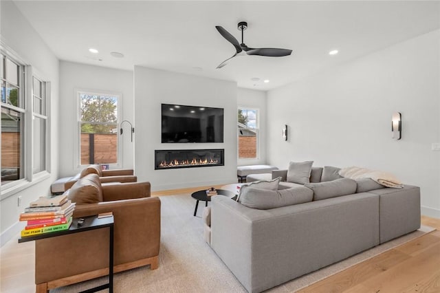 living room with a wealth of natural light, light hardwood / wood-style floors, and ceiling fan