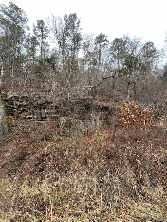 Crk 148, Eureka Springs AR, 72632 land for sale