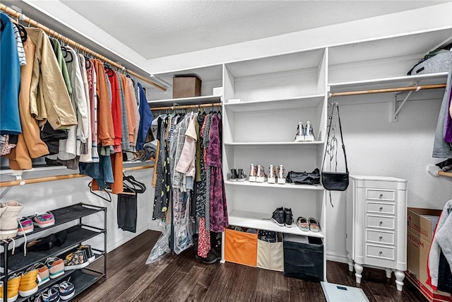 spacious closet featuring dark hardwood / wood-style flooring