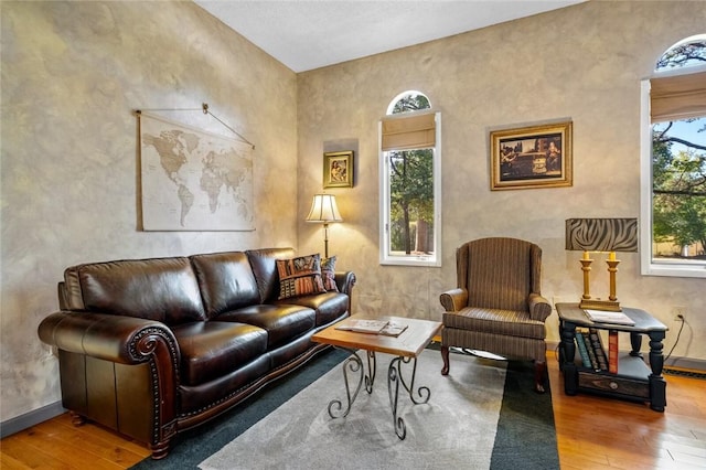 living room with hardwood / wood-style flooring