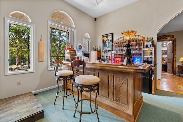 bar with vaulted ceiling and carpet floors