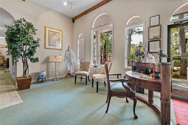 sitting room featuring rail lighting, carpet floors, and beam ceiling