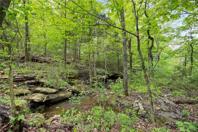 view of local wilderness