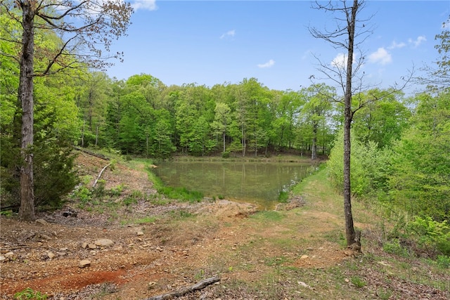 view of landscape featuring a water view