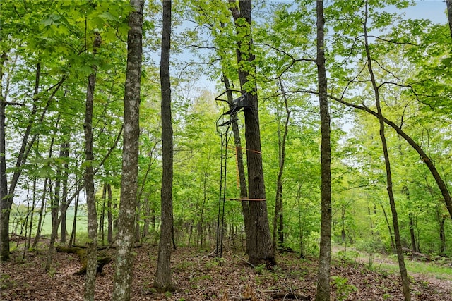 view of local wilderness