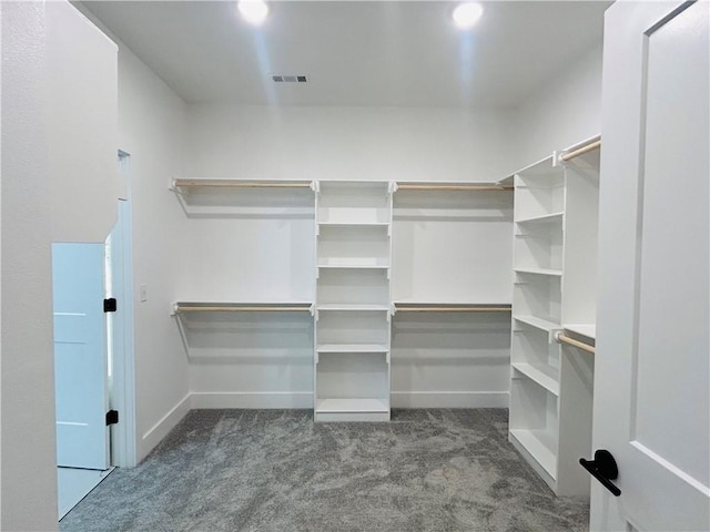 walk in closet with carpet