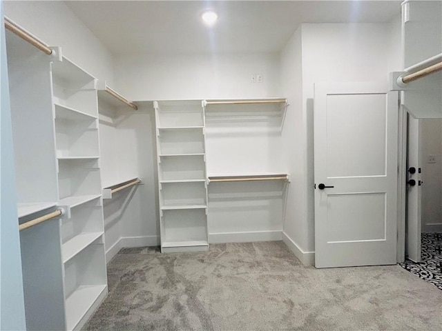 spacious closet featuring light carpet