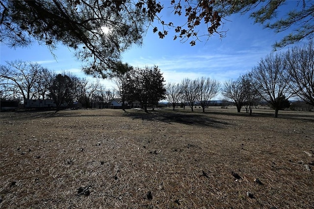 view of yard featuring a rural view