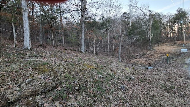 Listing photo 3 for 0 6-8 Wild Turkey Dr, Holiday Island AR 72631