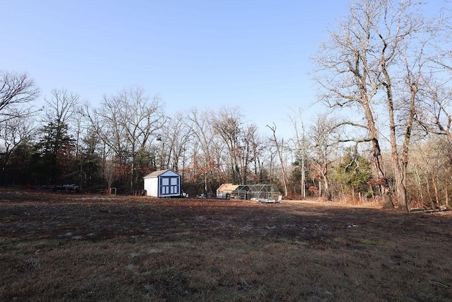 view of yard with a shed