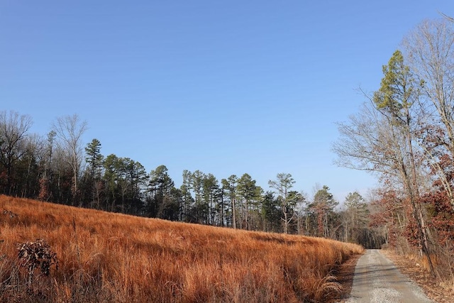 view of local wilderness