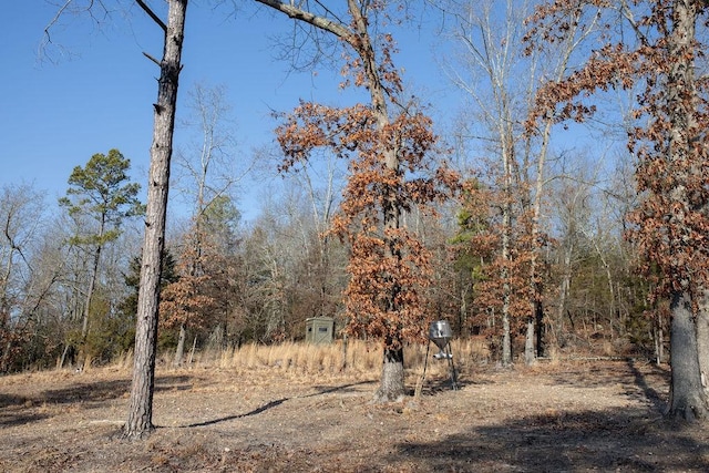 view of local wilderness