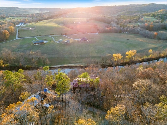 drone / aerial view featuring a mountain view