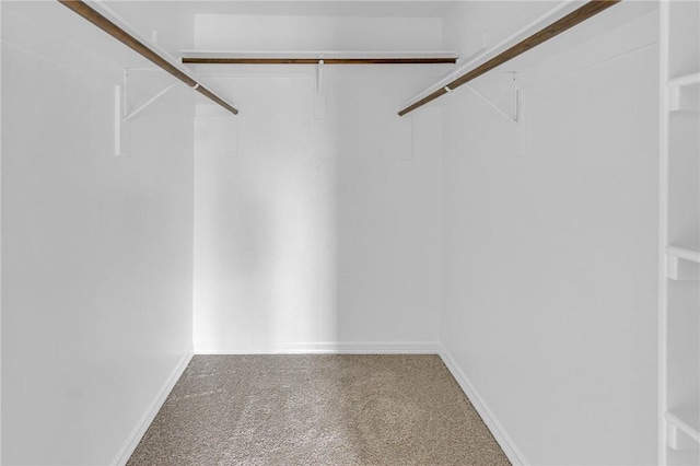 walk in closet with carpet