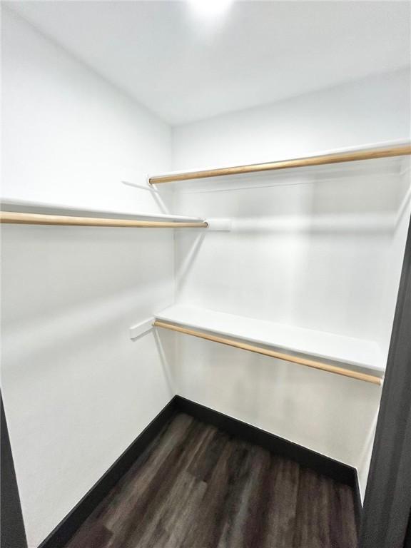 spacious closet with dark wood-type flooring