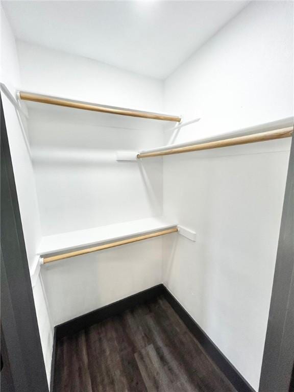 spacious closet featuring dark hardwood / wood-style floors