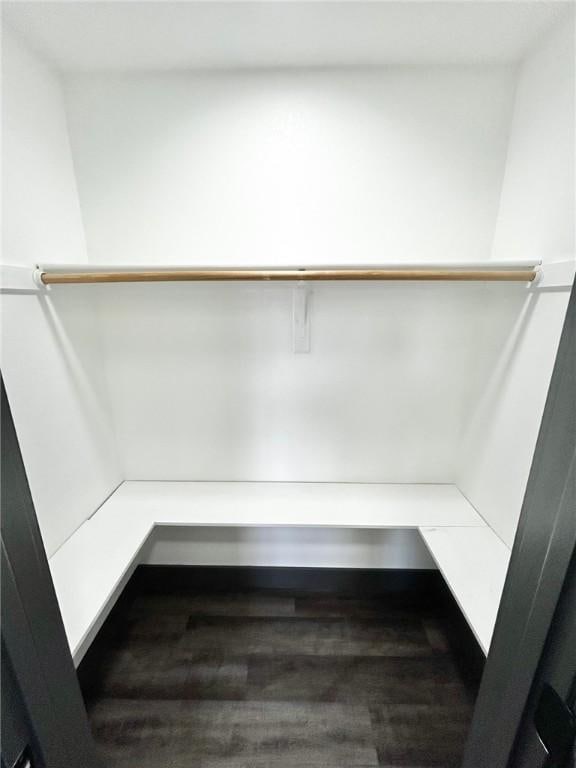 spacious closet featuring wood-type flooring