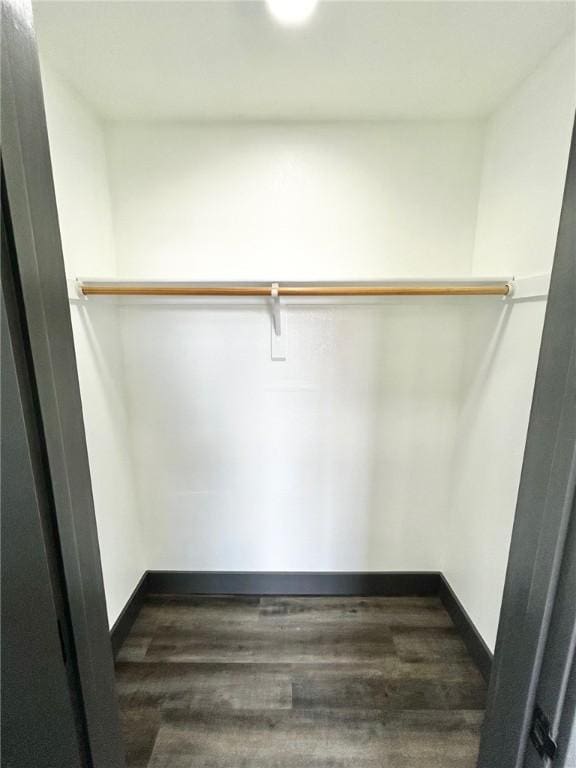 spacious closet featuring dark hardwood / wood-style flooring