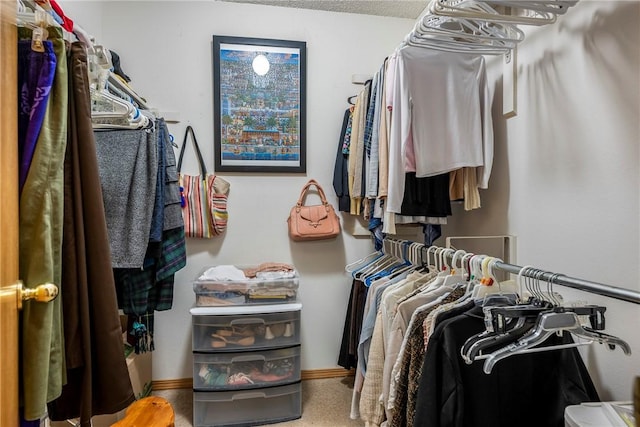 view of spacious closet