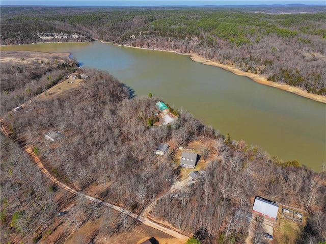 bird's eye view featuring a water view and a wooded view