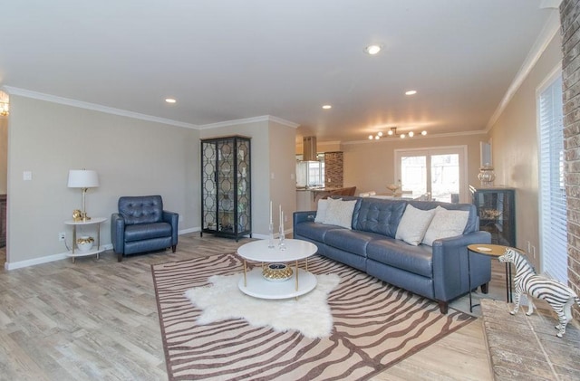 living room with crown molding, a fireplace, and light hardwood / wood-style flooring