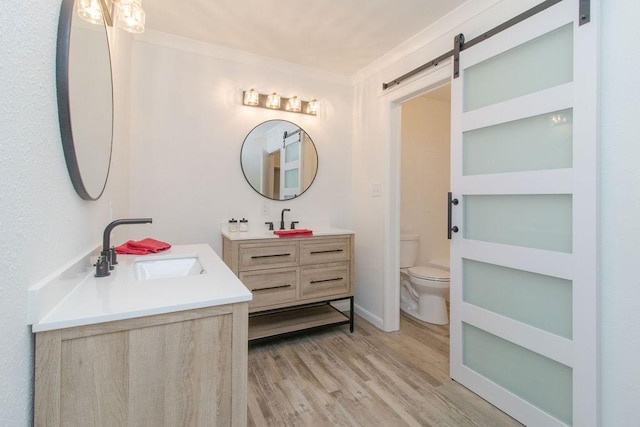 bathroom with vanity, wood-type flooring, and toilet