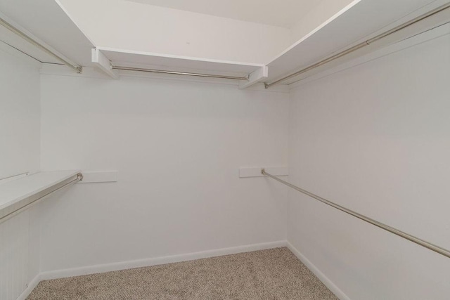 spacious closet with carpet flooring