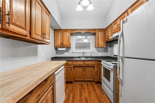 kitchen featuring sink, dark wood-type flooring, and white appliances