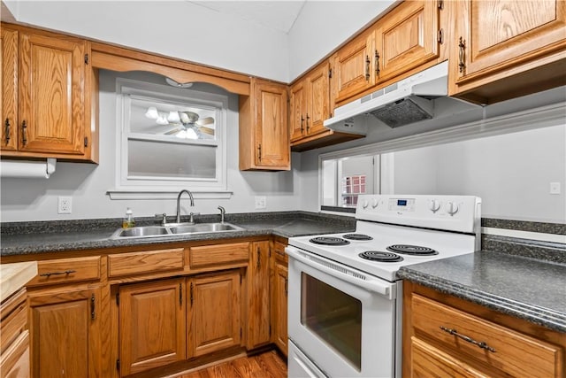 kitchen with sink, electric range, hardwood / wood-style floors, and ceiling fan