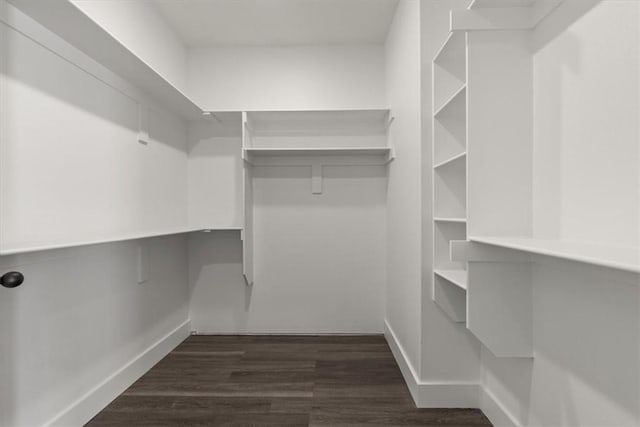 spacious closet with dark wood-type flooring