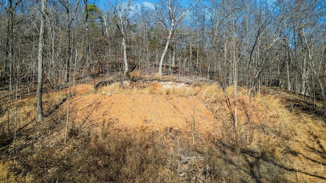 16001 Railroad Cut Rd, Rogers, AR 72756