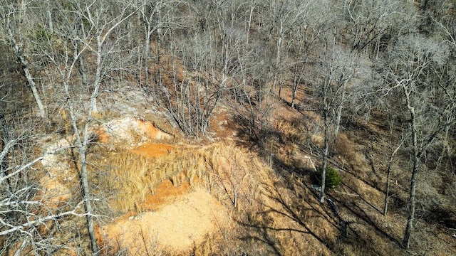 16001 Railroad Cut Rd, Rogers, AR 72756