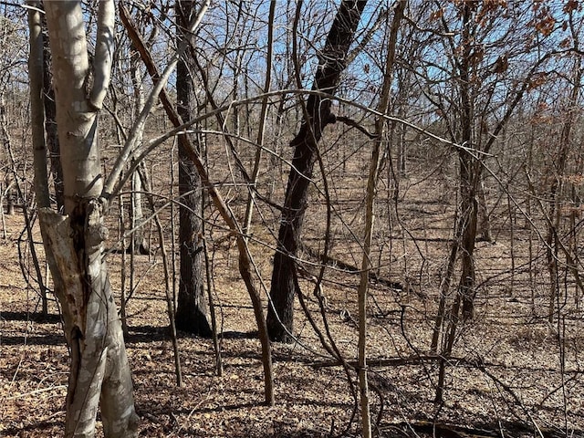 16001 Railroad Cut Rd, Rogers, AR 72756